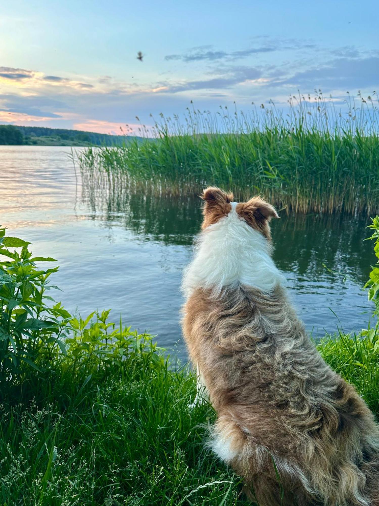 Pensjonat Rybical Ryn  Exteriér fotografie
